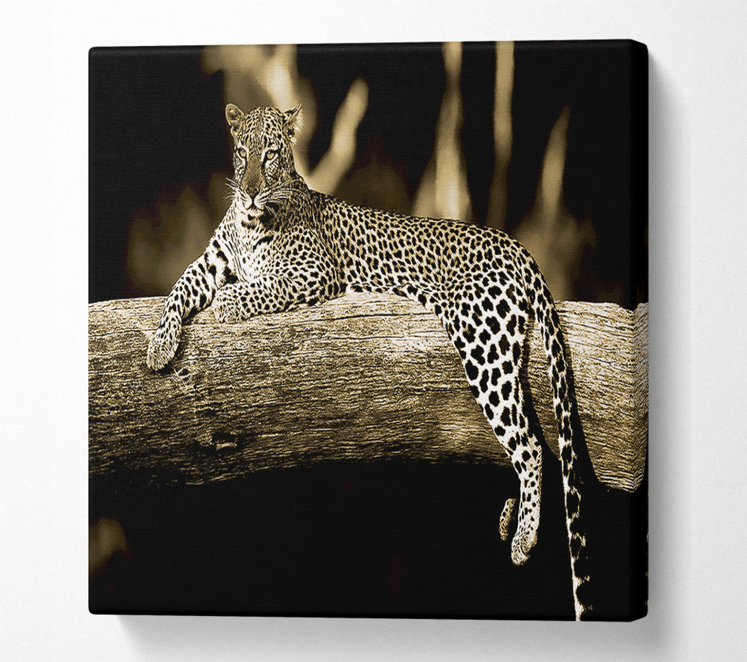  A Canvas Print of Leopard Lazy Days Canvas Print