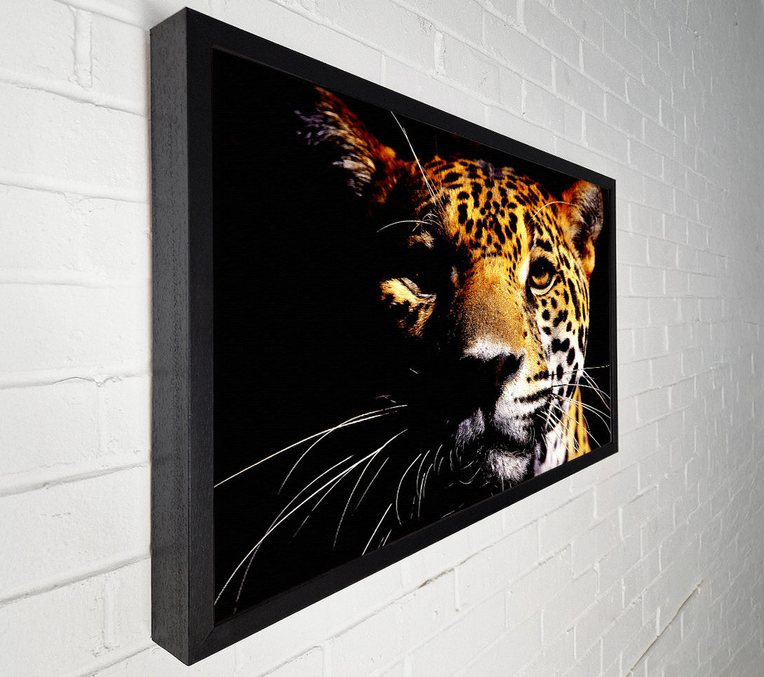  A Canvas Print of Leopard Pray Canvas Print
