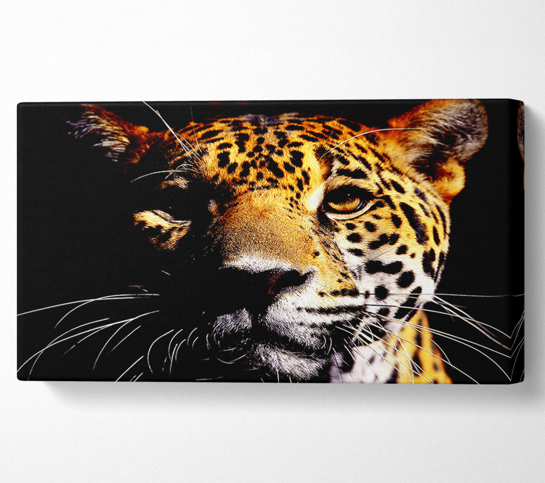  A Canvas Print of Leopard Pray Canvas Print