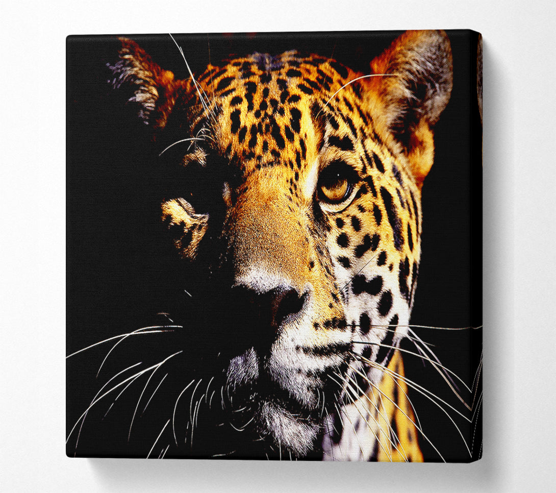  A Canvas Print of Leopard Pray Canvas Print