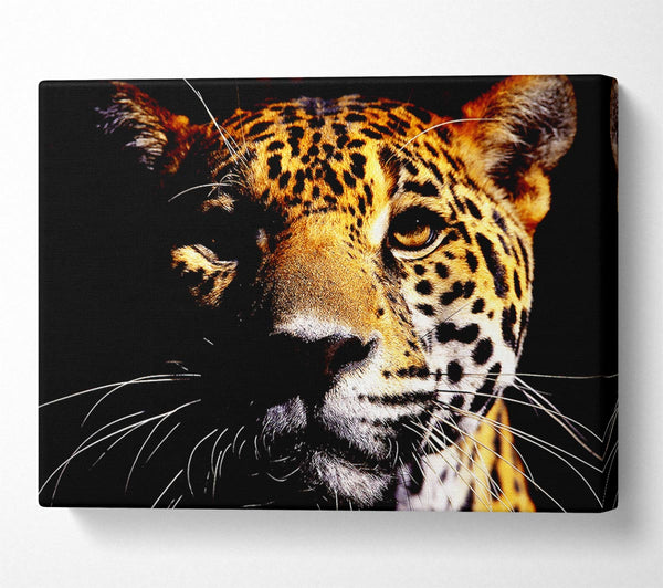  A Canvas Print of Leopard Pray Canvas Print