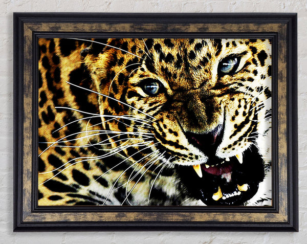 Leopard Roar Framed Print