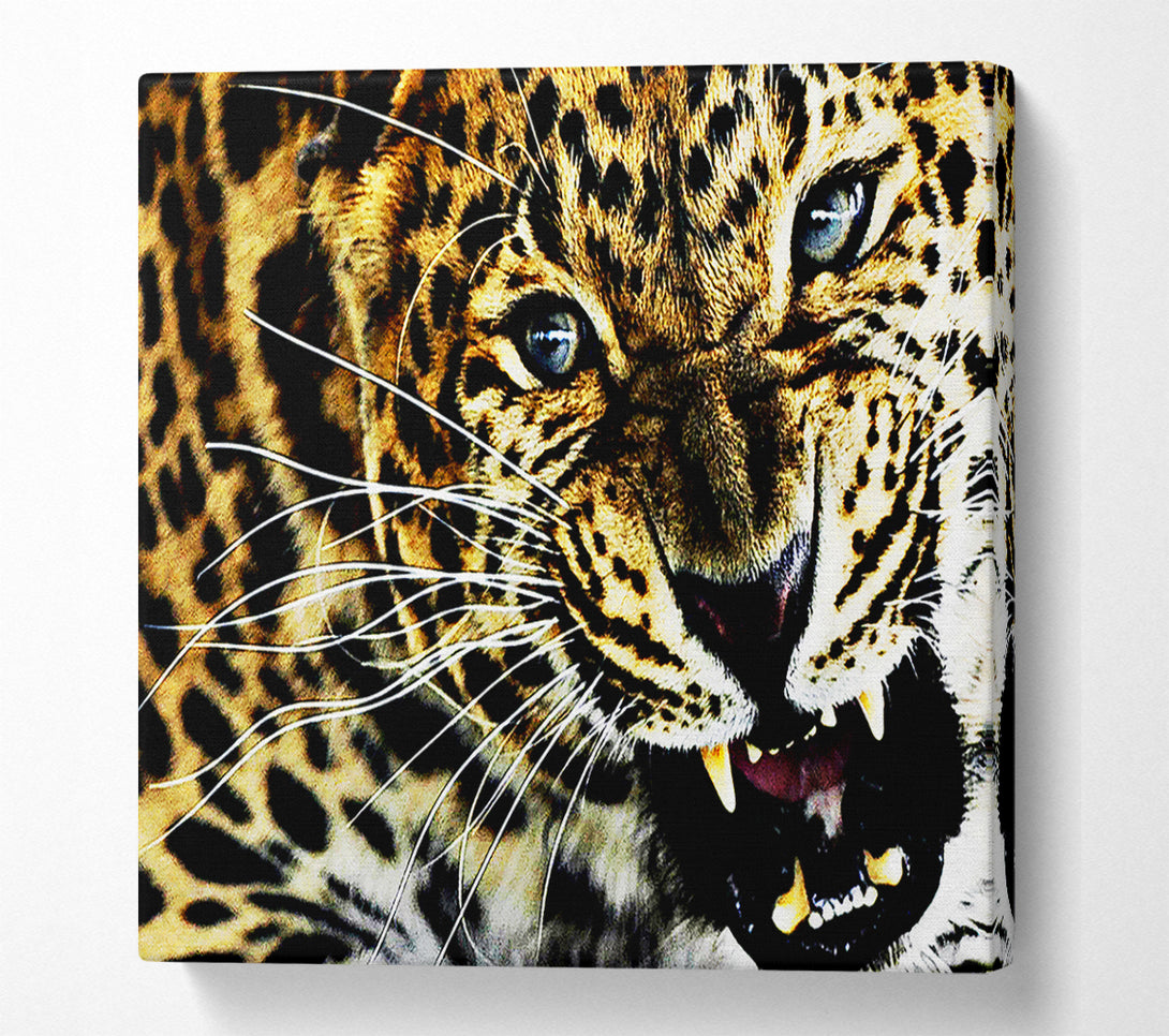  A Canvas Print of Leopard Roar Canvas Wall Art