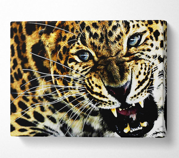  A Canvas Print of Leopard Roar Canvas Wall Art