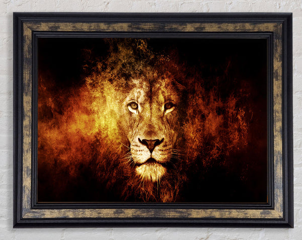 Lion Blaze Framed Print