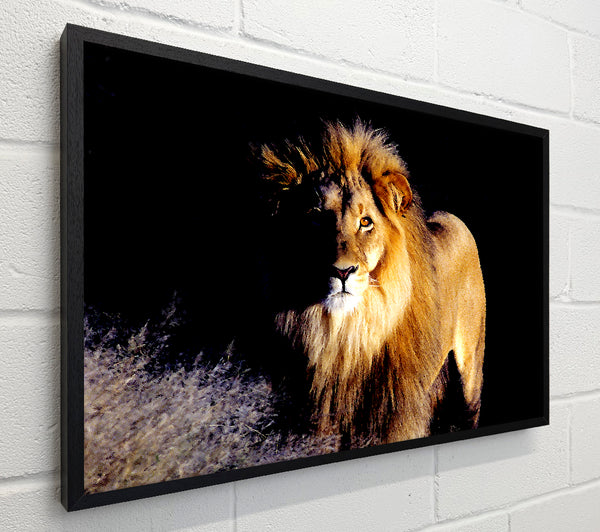 Lion Watch