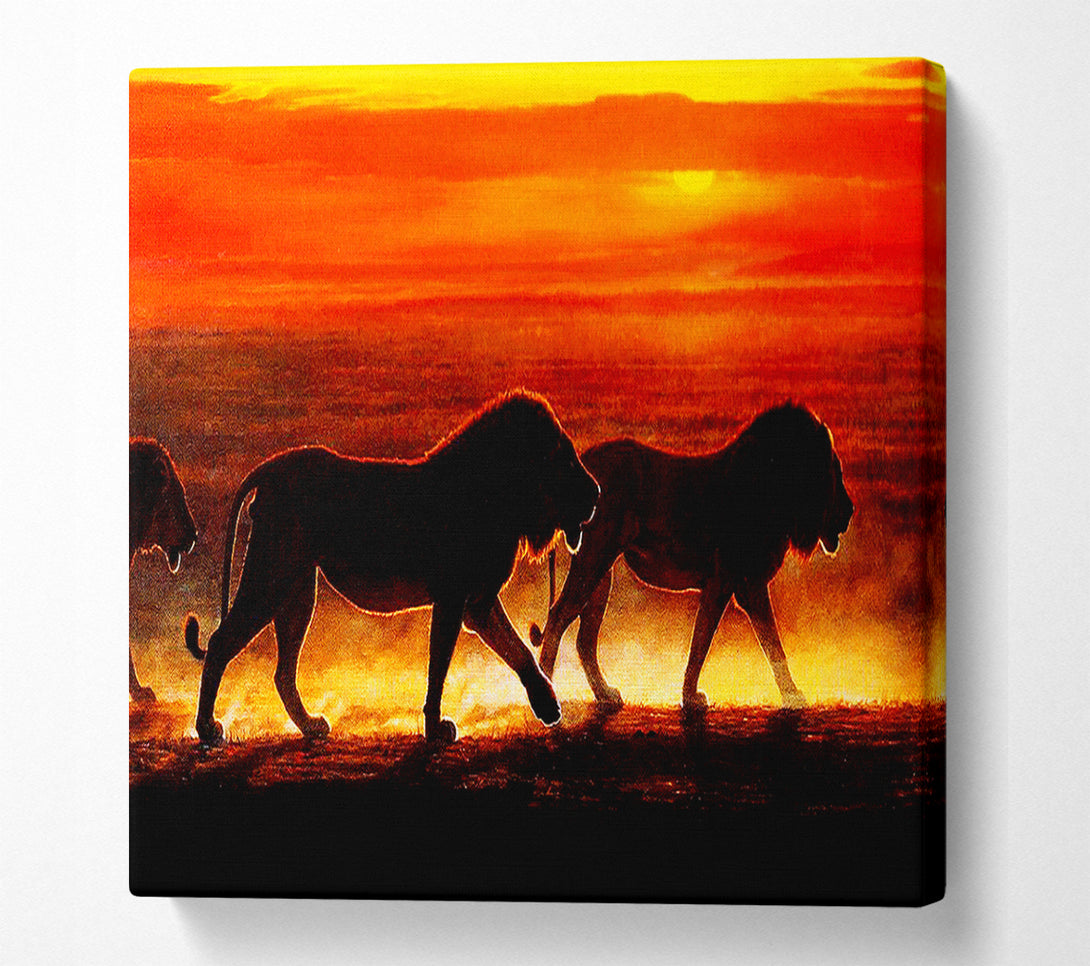  A Canvas Print of Lions On The Hunt Canvas Wall Art