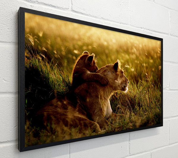 Lioness And Cub