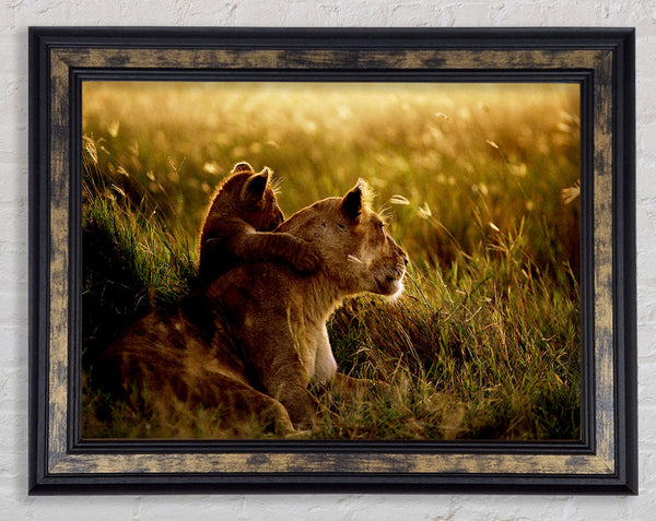 Lioness And Cub Framed Print