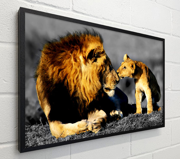 Lions Family Pride