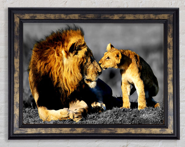 Lions-Familienstolz