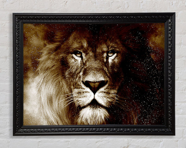 Lions Pride Framed Print