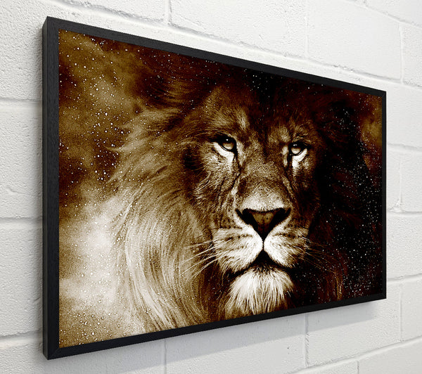 Lions Pride