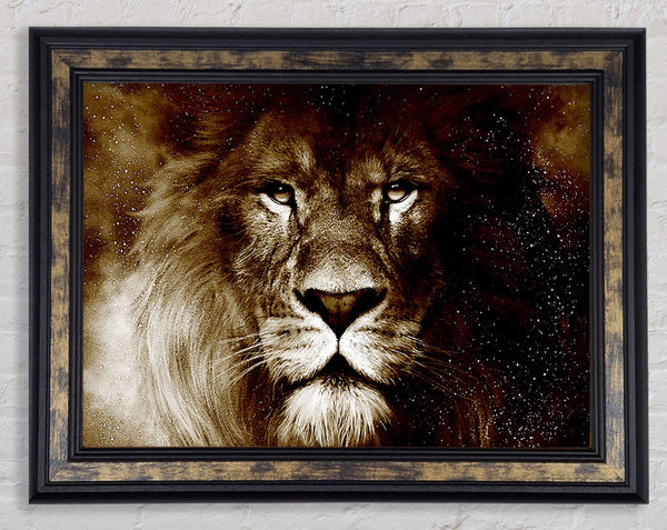 Lions Pride Framed Print
