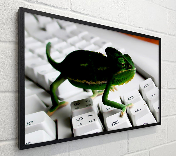 Lizard Keyboard