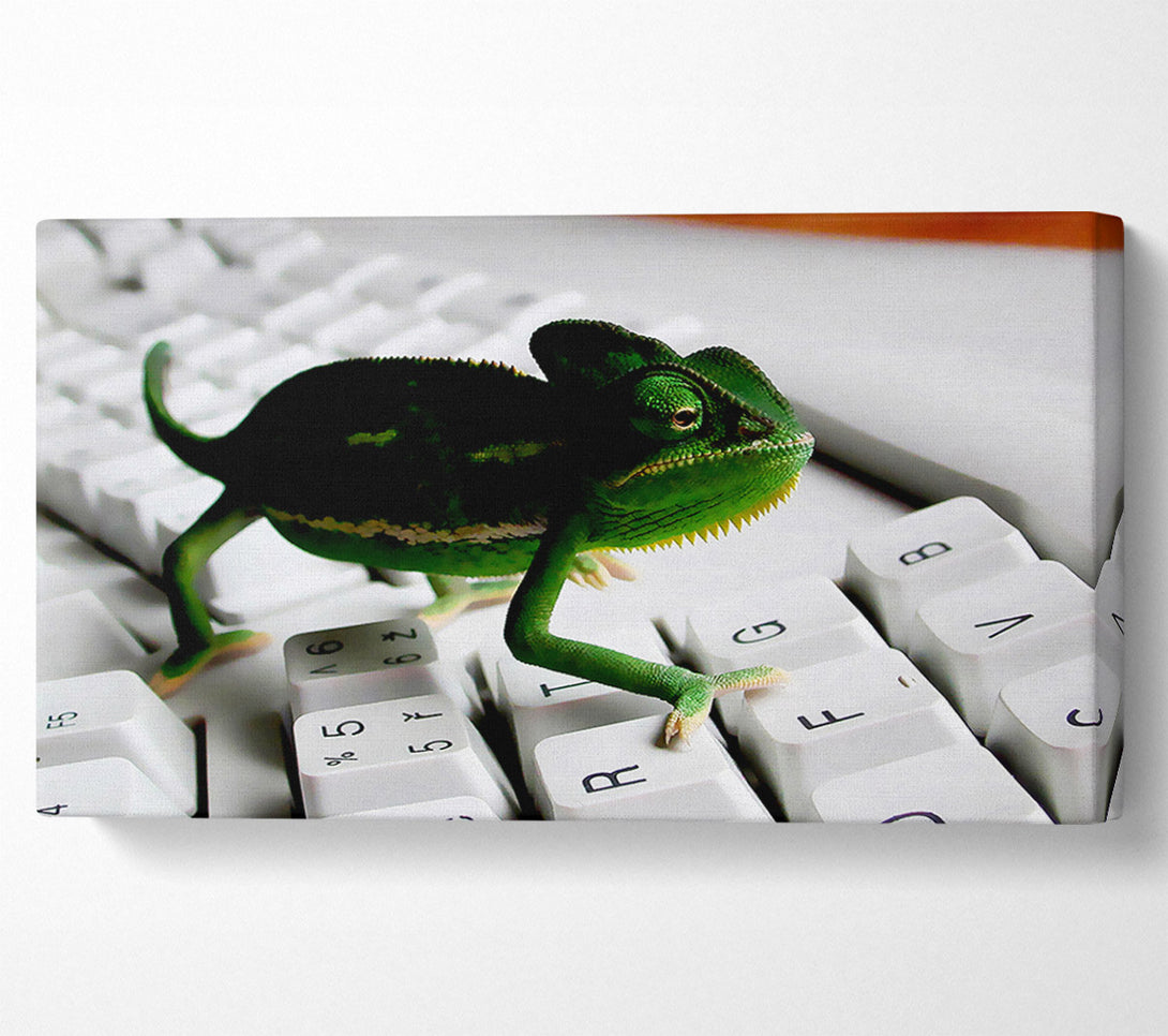  A Canvas Print of Lizard Keyboard Canvas Print