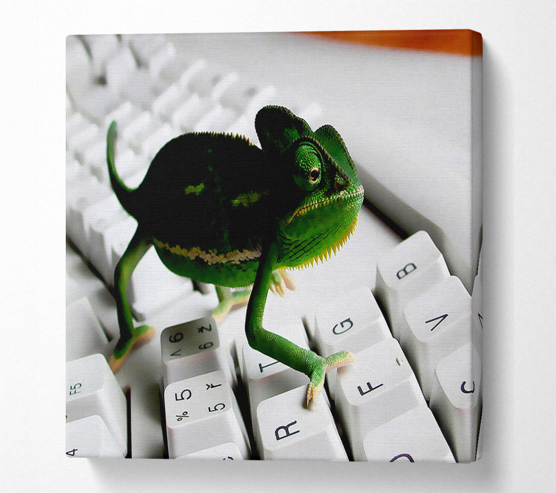  A Canvas Print of Lizard Keyboard Canvas Print
