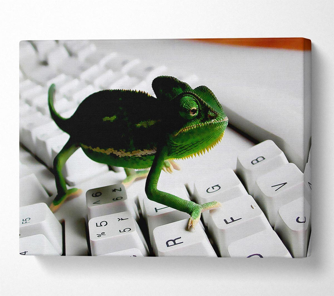  A Canvas Print of Lizard Keyboard Canvas Print