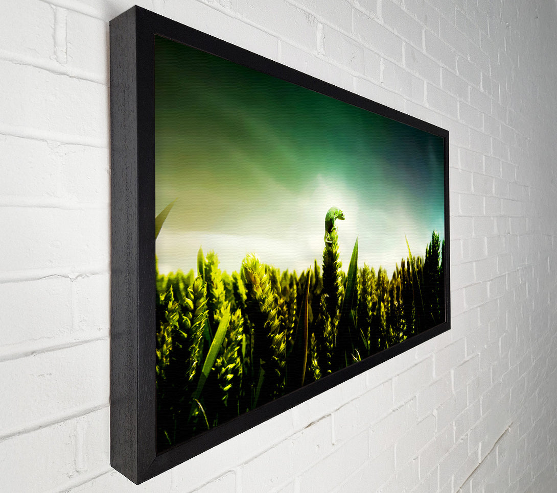  A Canvas Print of Lizard Perch Canvas Print