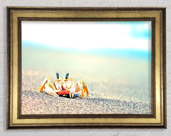 Lonely Crab Framed Print