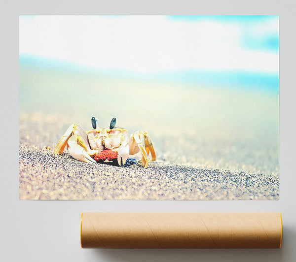 Lonely Crab Poster