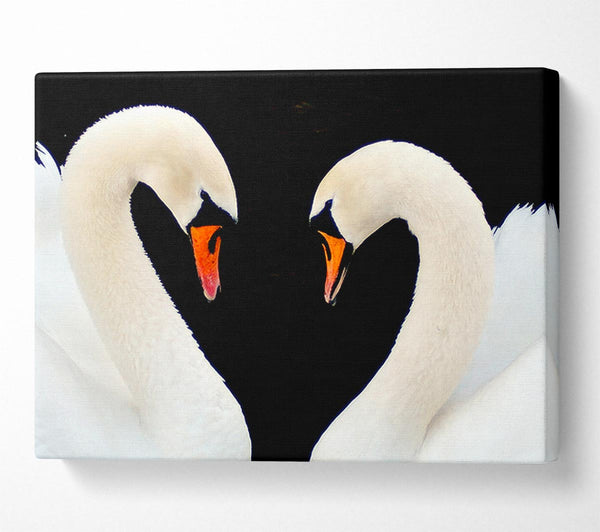  A Canvas Print of Love Heart Swans Canvas Print