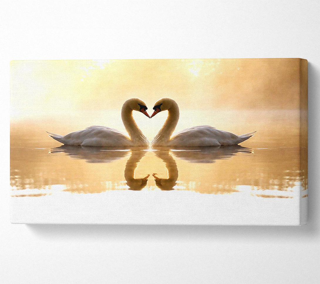  A Canvas Print of Loving Swans Canvas Print