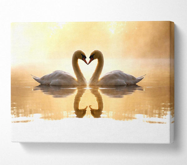  A Canvas Print of Loving Swans Canvas Print