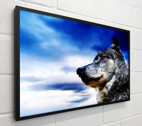Magnificant Wolf