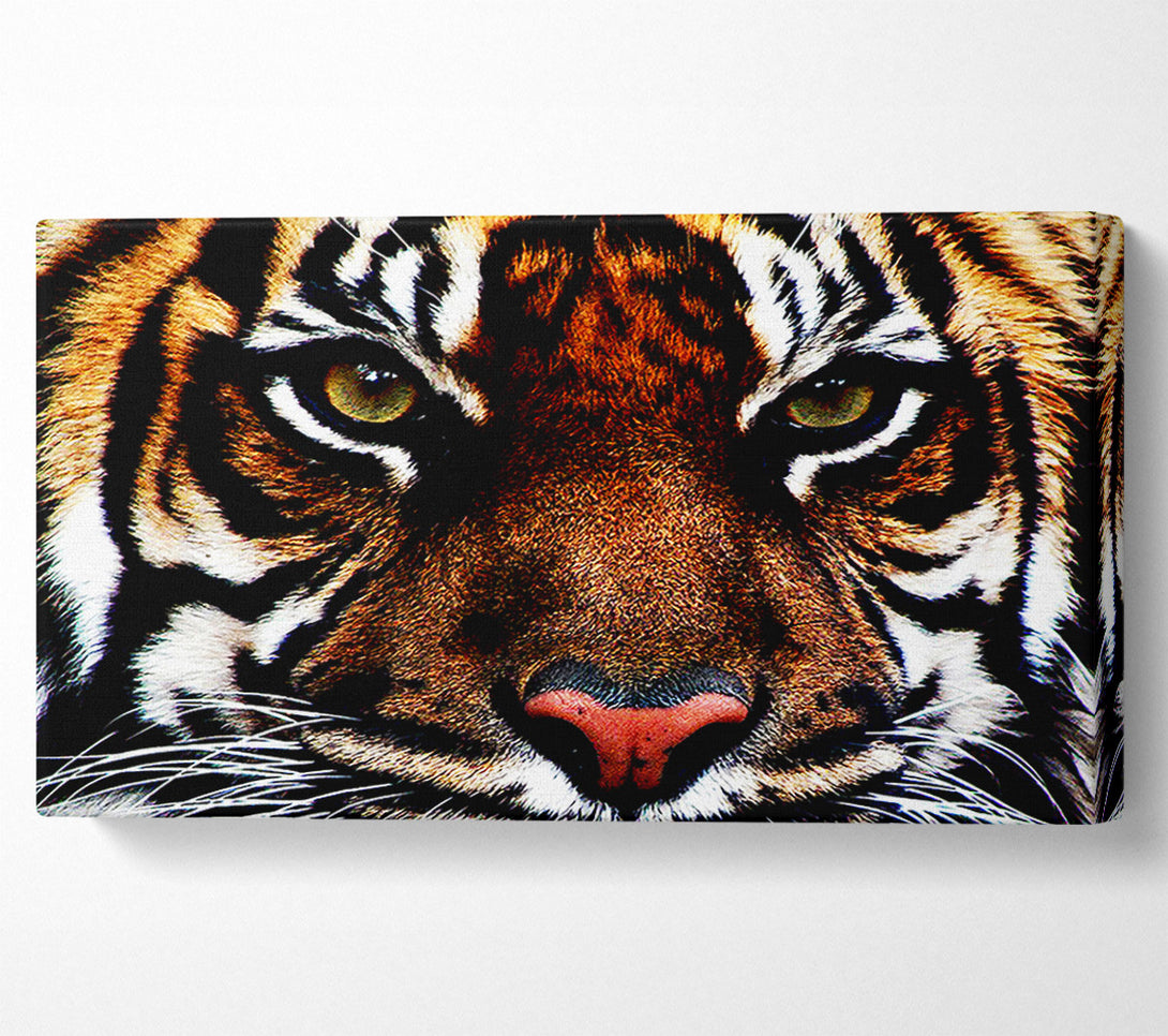  A Canvas Print of Male Tiger Face Canvas Wall Art