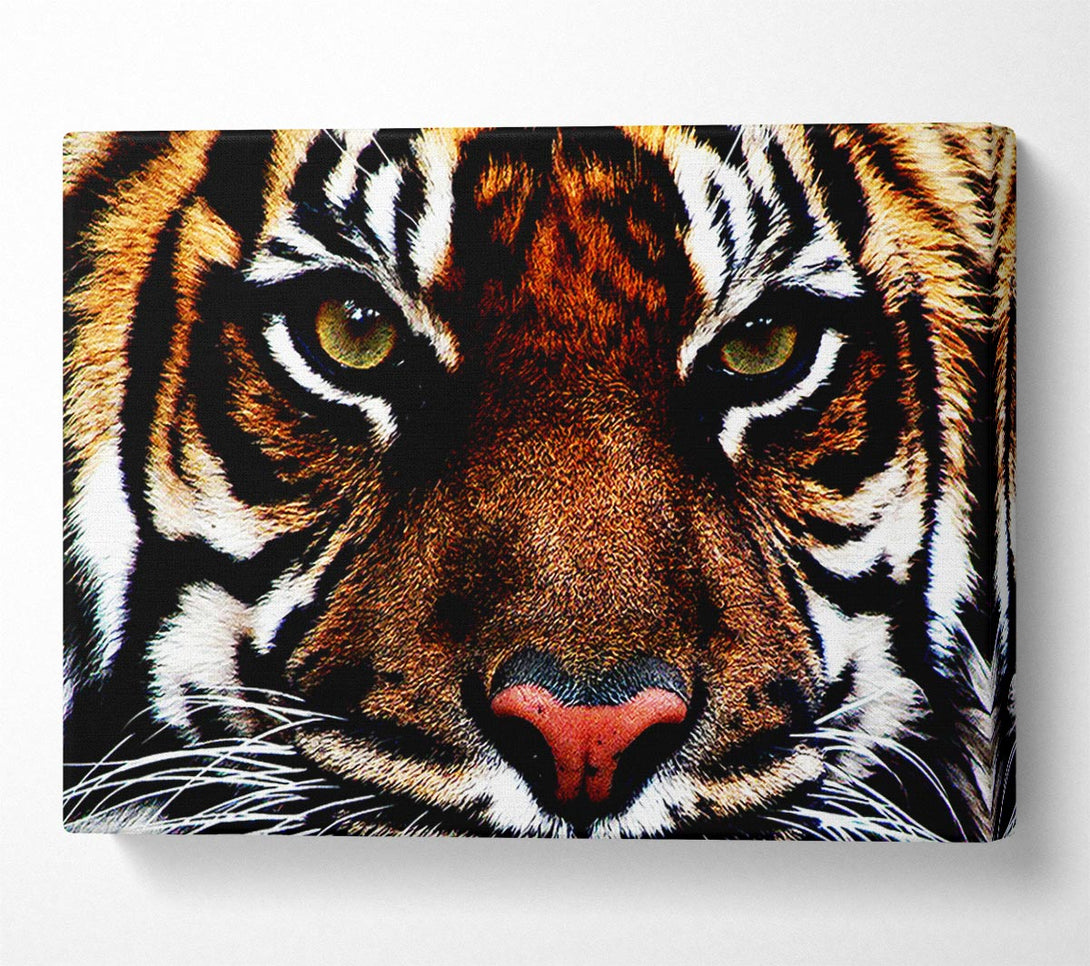  A Canvas Print of Male Tiger Face Canvas Wall Art
