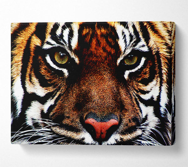  A Canvas Print of Male Tiger Face Canvas Wall Art