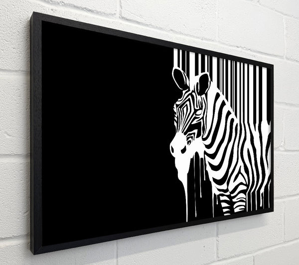 Melting Zebra