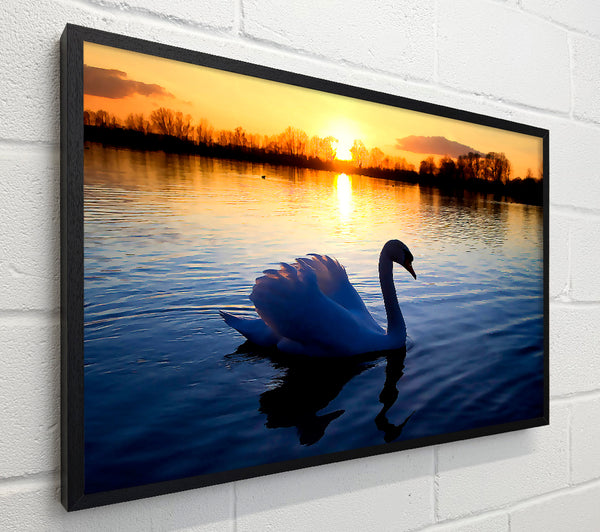 Lonely Swan