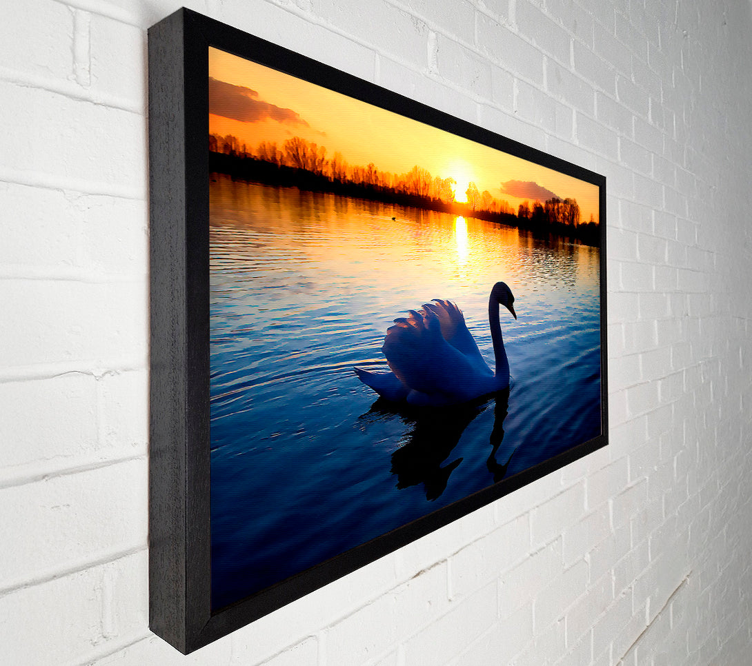  A Canvas Print of Lonely Swan Canvas Wall Art