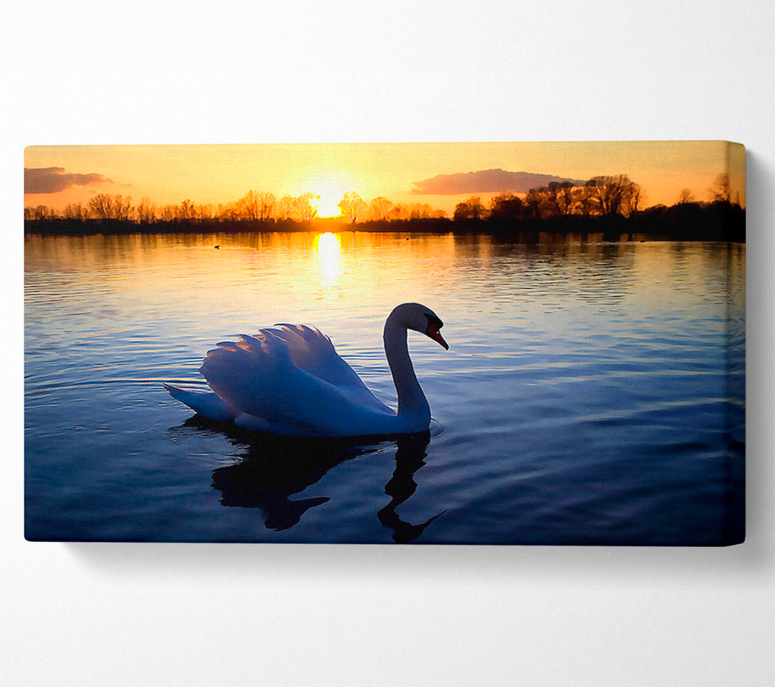  A Canvas Print of Lonely Swan Canvas Wall Art
