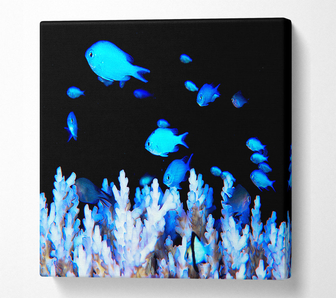  A Canvas Print of Neon Fish Canvas Art
