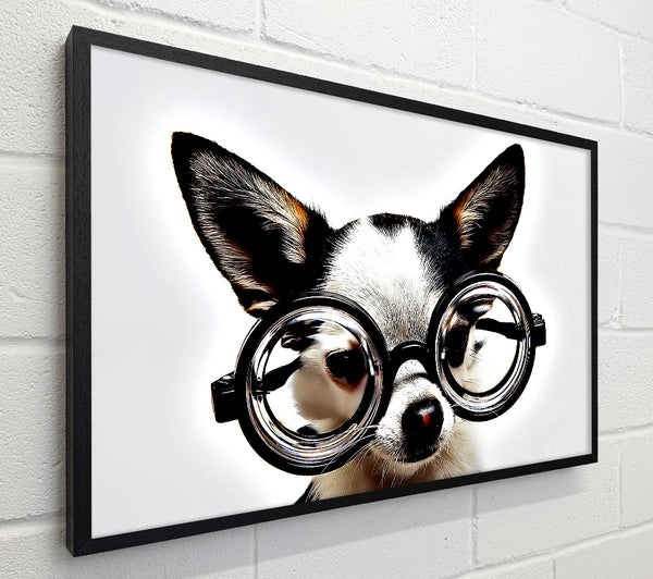 Nerd Dog