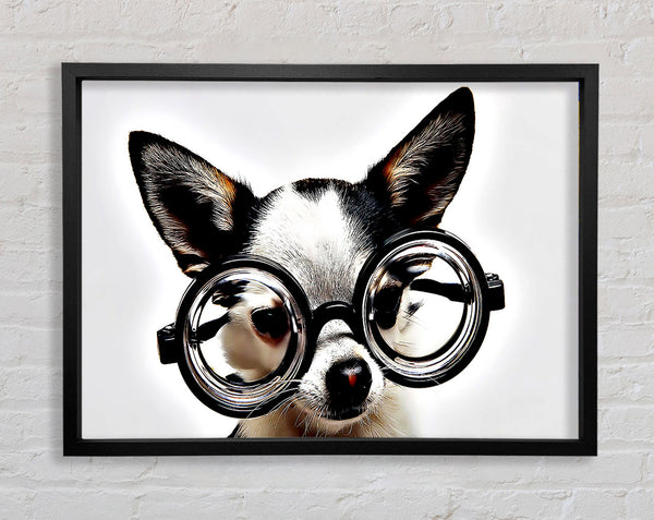 Streber-Hund