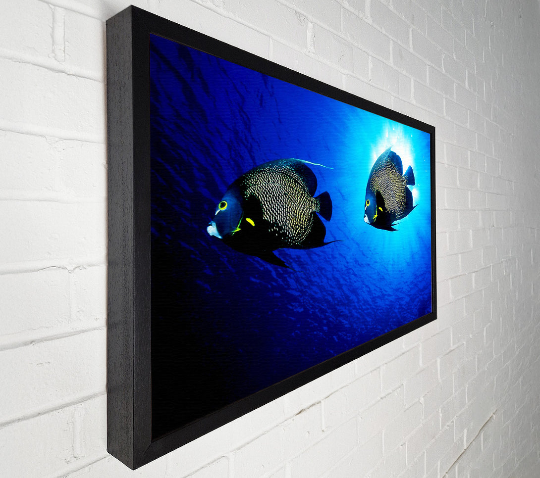  A Canvas Print of Ocean Delight Canvas Art