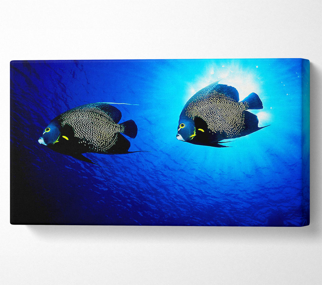  A Canvas Print of Ocean Delight Canvas Art