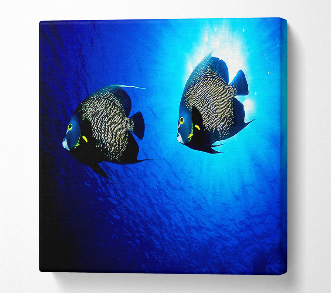  A Canvas Print of Ocean Delight Canvas Art