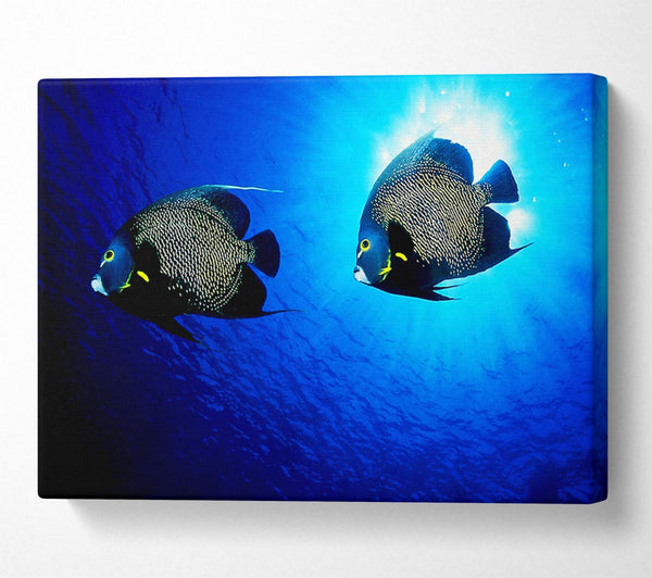  A Canvas Print of Ocean Delight Canvas Art