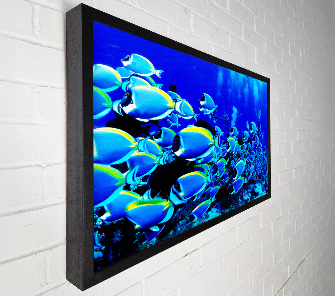  A Canvas Print of Ocean Fun Canvas Print