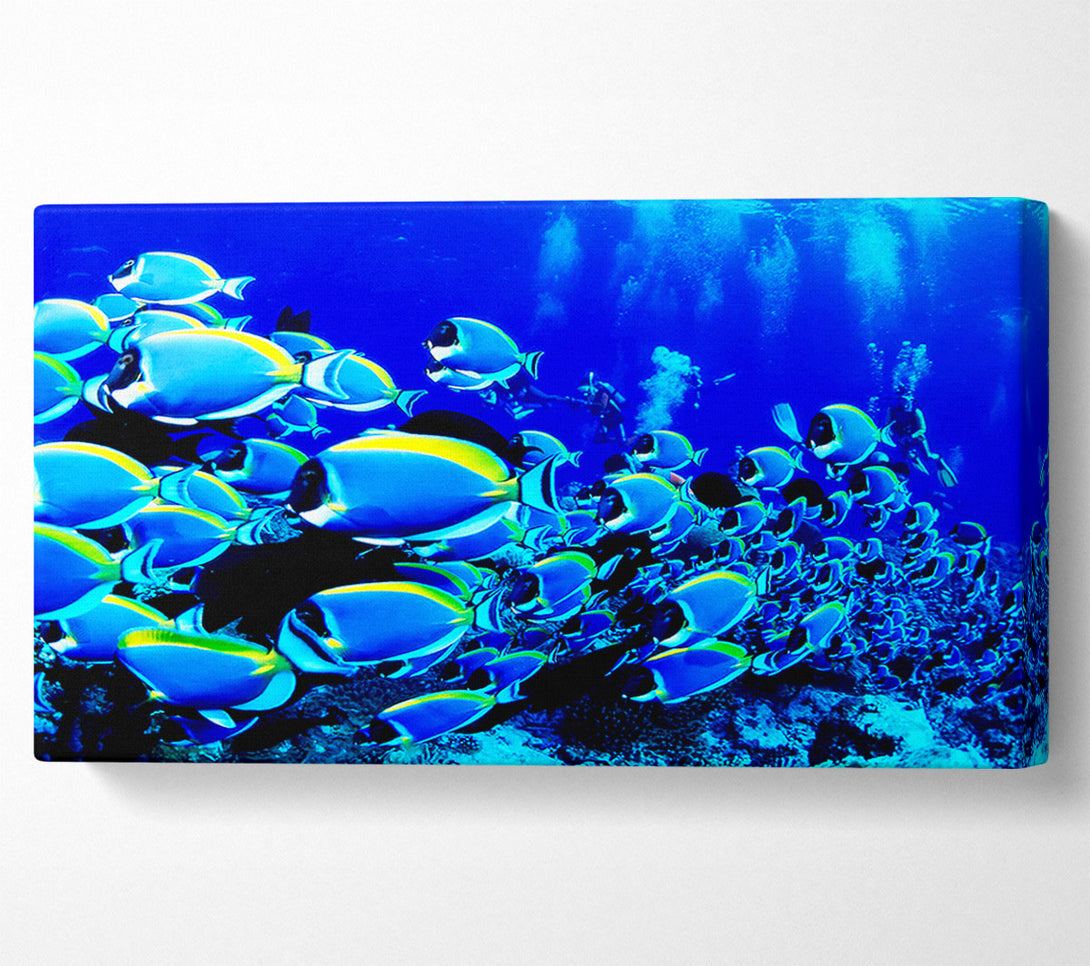  A Canvas Print of Ocean Fun Canvas Print