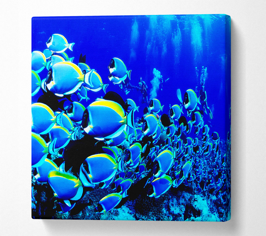  A Canvas Print of Ocean Fun Canvas Print