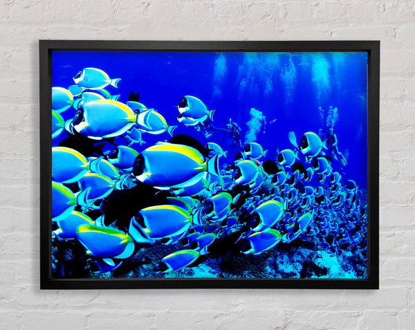 Ocean Fun Framed Print