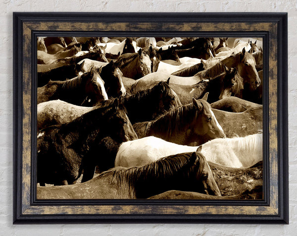 Ocean Of Horses Framed Print