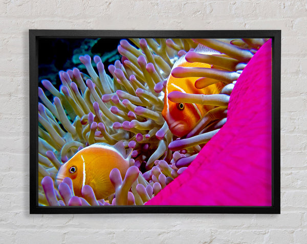 Ocean Sea Underwater Framed Print