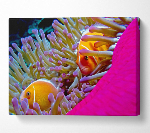  A Canvas Print of Ocean Sea Underwater Canvas Art